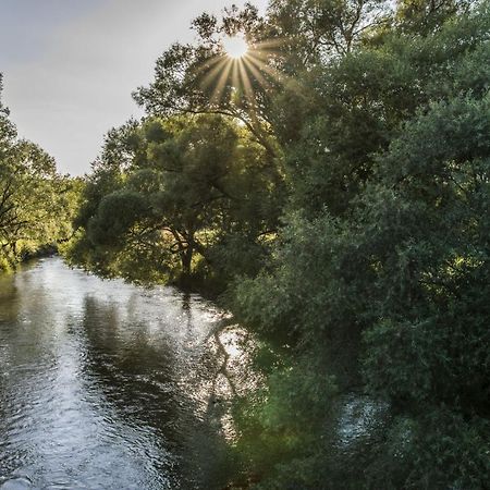 Ferienwohnung Jobst - Ruhig Mit Blick Ins Gruene Nittenau Exterior foto
